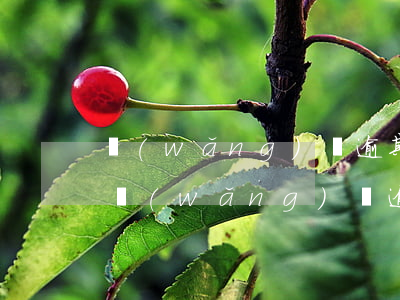 網(wǎng)貸逾期收1萬會上門通知嗎(網(wǎng)貸逾期收1萬會上門通知嗎)