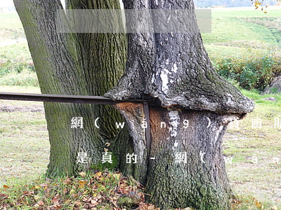 網(wǎng)貸逾期收到12368短信是真的-網(wǎng)貸逾期收到12368短信是真的嗎
