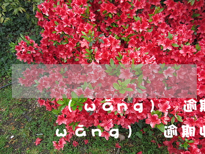 網(wǎng)貸逾期收到12368(網(wǎng)貸逾期收到12368短信驗證碼)