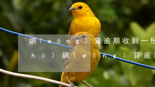 網(wǎng)貸逾期收到一份起訴書(shū)(網(wǎng)貸逾期法院起訴流程)
