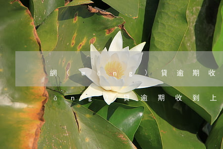 網(wǎng)貸逾期收到上門短信(網(wǎng)貸逾期收到上門短信怎么處理)