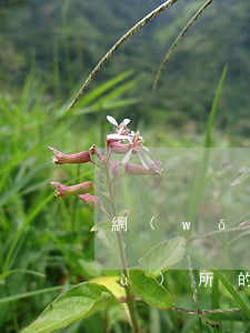 網(wǎng)貸逾期收到了律師事務(wù)所的信息(網(wǎng)貸逾期了律師聯(lián)系我了)