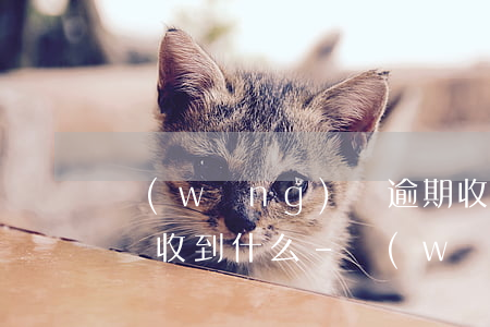 網(wǎng)貸逾期收到了律師函下一步會收到什么-網(wǎng)貸逾期收到了律師函下一步會收到什么短信