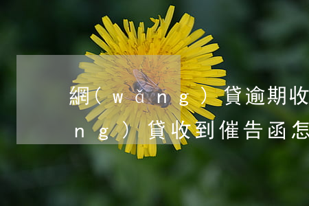 網(wǎng)貸逾期收到催告函(網(wǎng)貸收到催告函怎么辦?)