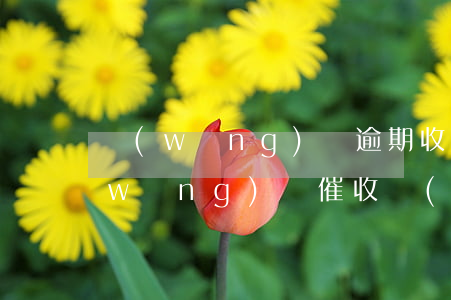 網(wǎng)貸逾期收到催收函短信(網(wǎng)貸催收發(fā)催收函)