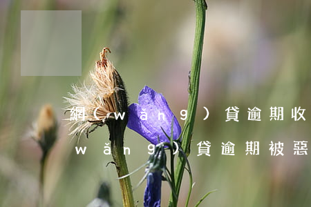 網(wǎng)貸逾期收到催收掛號信(網(wǎng)貸逾期被惡意催收怎么舉報)
