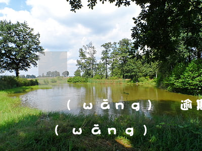 網(wǎng)貸逾期收到傳票會怎么樣(網(wǎng)貸會發(fā)傳票嗎)