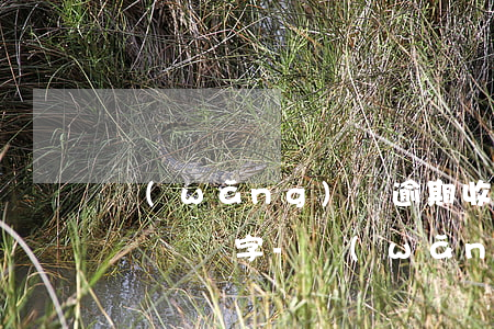 網(wǎng)貸逾期收到到訪信息并要求親屬簽字-網(wǎng)貸逾期收到到訪信息并要求親屬簽字是真的嗎