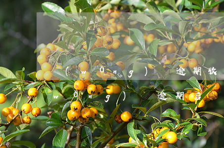 網(wǎng)貸逾期收到哈爾濱傳票(網(wǎng)貸逾期后銀行發(fā)信息)