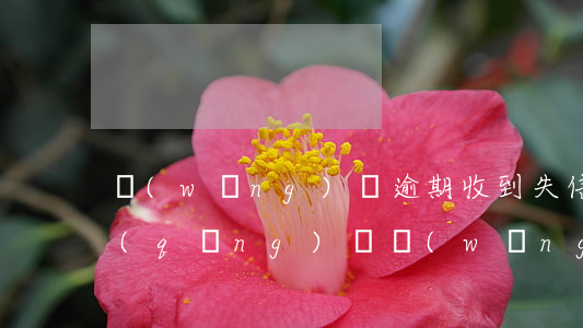 網(wǎng)貸逾期收到失信名單(你好,請(qǐng)問網(wǎng)貸逾期會(huì)被列入失信名單嗎?)