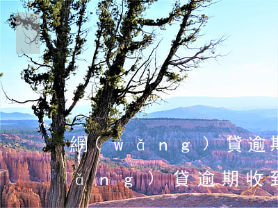 網(wǎng)貸逾期收到庭審短信(網(wǎng)貸逾期收到庭審短信)