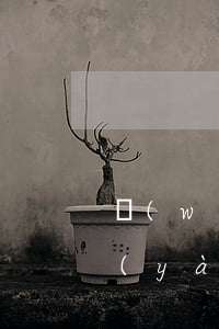 網(wǎng)貸逾期收到廣州法院短信驗(yàn)證碼-網(wǎng)貸逾期收到廣州法院短信驗(yàn)證碼是真的嗎