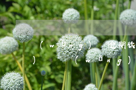 網(wǎng)貸逾期收到很多驗(yàn)證碼(網(wǎng)貸收不到驗(yàn)證碼怎么回事)