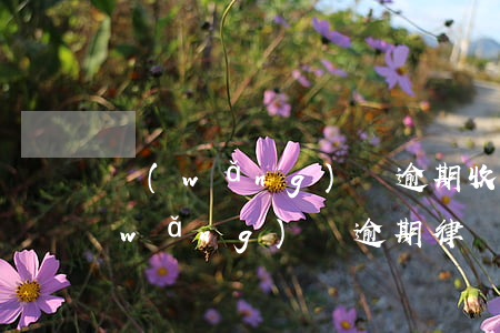 網(wǎng)貸逾期收到律師事務所（網(wǎng)貸逾期律師事務所聯(lián)系我）