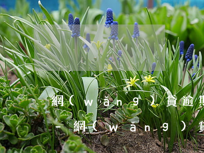 網(wǎng)貸逾期收到律師函是怎樣的-網(wǎng)貸逾期會收到律師函嗎