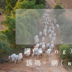 網(wǎng)貸逾期收到律師函是要被起訴嗎-網(wǎng)貸逾期收到律師函是要被起訴嗎怎么辦
