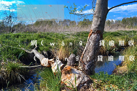 網(wǎng)貸逾期收到律師函有事沒(網(wǎng)貸逾期收到律師函會怎樣)