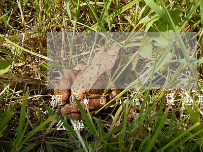 網(wǎng)貸逾期收到律師函的短信怎么辦