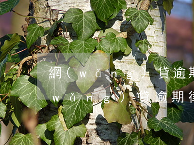 網(wǎng)貸逾期收到律師函真假(網(wǎng)貸逾期律師事務(wù)所發(fā)來(lái)律師函)