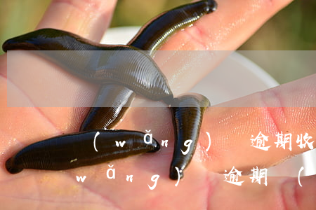 網(wǎng)貸逾期收到律師函退T(網(wǎng)貸逾期發(fā)律師函)