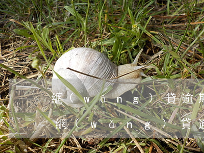 網(wǎng)貸逾期收到律師所開庭通知(網(wǎng)貸逾期收到律師事務(wù)所)