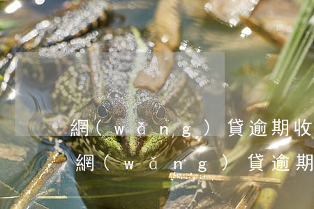 網(wǎng)貸逾期收到律師短信說上門（網(wǎng)貸逾期收到律師短信說上門）