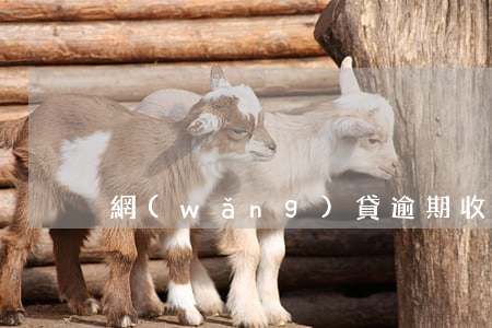 網(wǎng)貸逾期收到排期訴訟通知