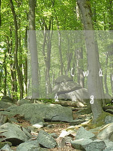 網(wǎng)貸逾期收到敗訴彩信(網(wǎng)貸逾期失聯(lián))