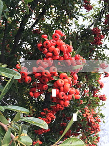 網(wǎng)貸逾期收到智調(diào)調(diào)解中心的電話-網(wǎng)貸逾期收到智調(diào)調(diào)解中心的電話是真的嗎