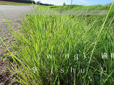 網(wǎng)貸逾期收到法號(hào)令（說(shuō)網(wǎng)貸逾期法院下發(fā)支付令）