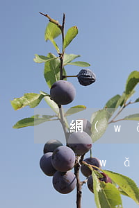 網(wǎng)貸逾期收到法訴通知短信（網(wǎng)貸逾期收到起訴短信怎么）