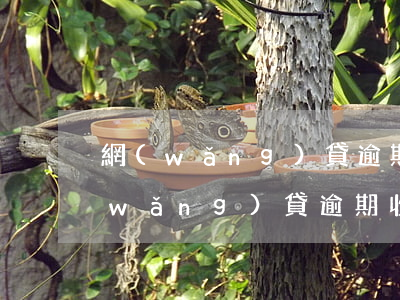 網(wǎng)貸逾期收到法院傳票6 網(wǎng)貸逾期收到法院傳票是真的嗎