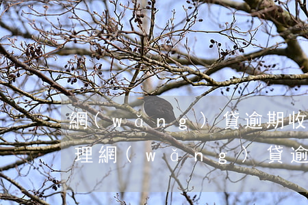 網(wǎng)貸逾期收到法院傳票怎么處理(網(wǎng)貸逾期會(huì)收到法院傳票嗎)