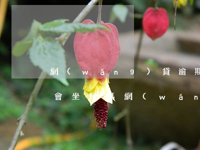 網(wǎng)貸逾期收到法院傳票怎么辦,會坐牢嗎?（網(wǎng)貸逾期收到法院傳票但還是沒錢）