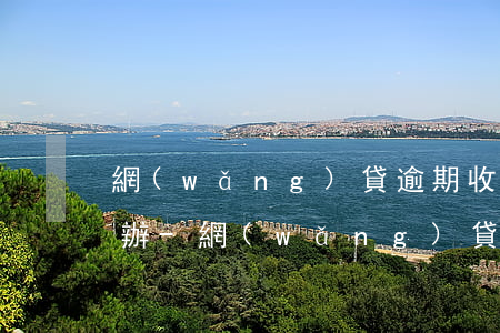 網(wǎng)貸逾期收到法院通知書怎么辦-網(wǎng)貸逾期收到法律文書