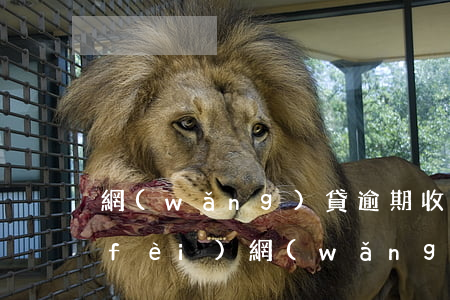 網(wǎng)貸逾期收到法院限制消費(fèi) 網(wǎng)貸逾期收到支付令