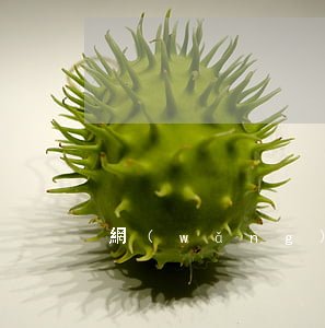 網(wǎng)貸逾期收到短信威脅