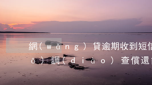 網(wǎng)貸逾期收到短信說(shuō)調(diào)查償還能力(網(wǎng)貸逾期收到短信說(shuō)調(diào)查償還能力是真的嗎)