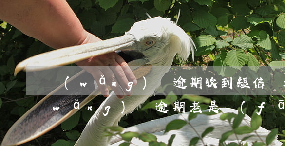 網(wǎng)貸逾期收到短信說起訴(網(wǎng)貸逾期老是發(fā)短信說起訴我,是不是真的會(huì)起訴)