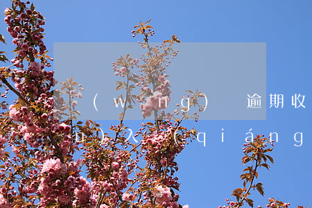 網(wǎng)貸逾期收到短信說進(jìn)入強(qiáng)制執(zhí)行（網(wǎng)貸逾期1068短信說強(qiáng)制執(zhí)行）