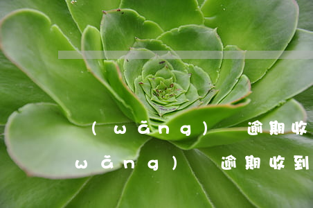 網(wǎng)貸逾期收到立案的郵件(網(wǎng)貸逾期收到立案是不是真的)