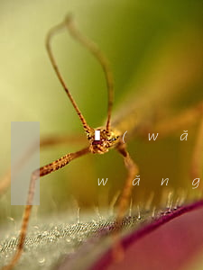 網(wǎng)貸逾期收到起訴狀短信(網(wǎng)貸逾期收到訴訟通知短信)