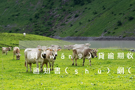 網(wǎng)貸逾期收到開(kāi)庭通知書(shū)(網(wǎng)貸逾期收到開(kāi)庭通知)