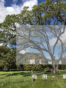 網(wǎng)貸逾期收到電子律師函有沒有用-網(wǎng)貸逾期收到電子律師函有沒有用啊