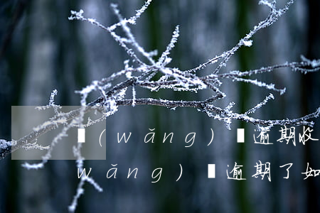 網(wǎng)貸逾期收回本金怎么辦(網(wǎng)貸逾期了如何恢復(fù)征信)