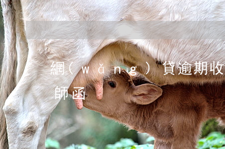 網(wǎng)貸逾期收點(diǎn)律師函