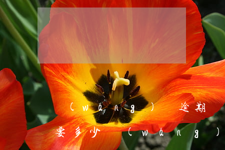 網(wǎng)貸逾期敗訴費(fèi)用要多少(網(wǎng)貸逾期的費(fèi)用這么高怎么辦)