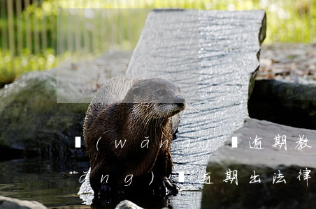 網(wǎng)貸逾期教科書式回答(網(wǎng)貸逾期出法律意見書是什么)