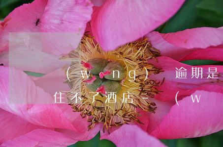 網(wǎng)貸逾期是不是只有失信才會住不了酒店-網(wǎng)貸逾期是不是只有失信才會住不了酒店了