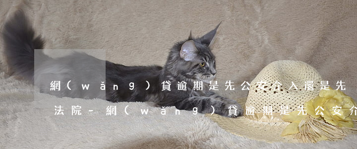 網(wǎng)貸逾期是先公安介入還是先法院-網(wǎng)貸逾期是先公安介入還是先法院起訴
